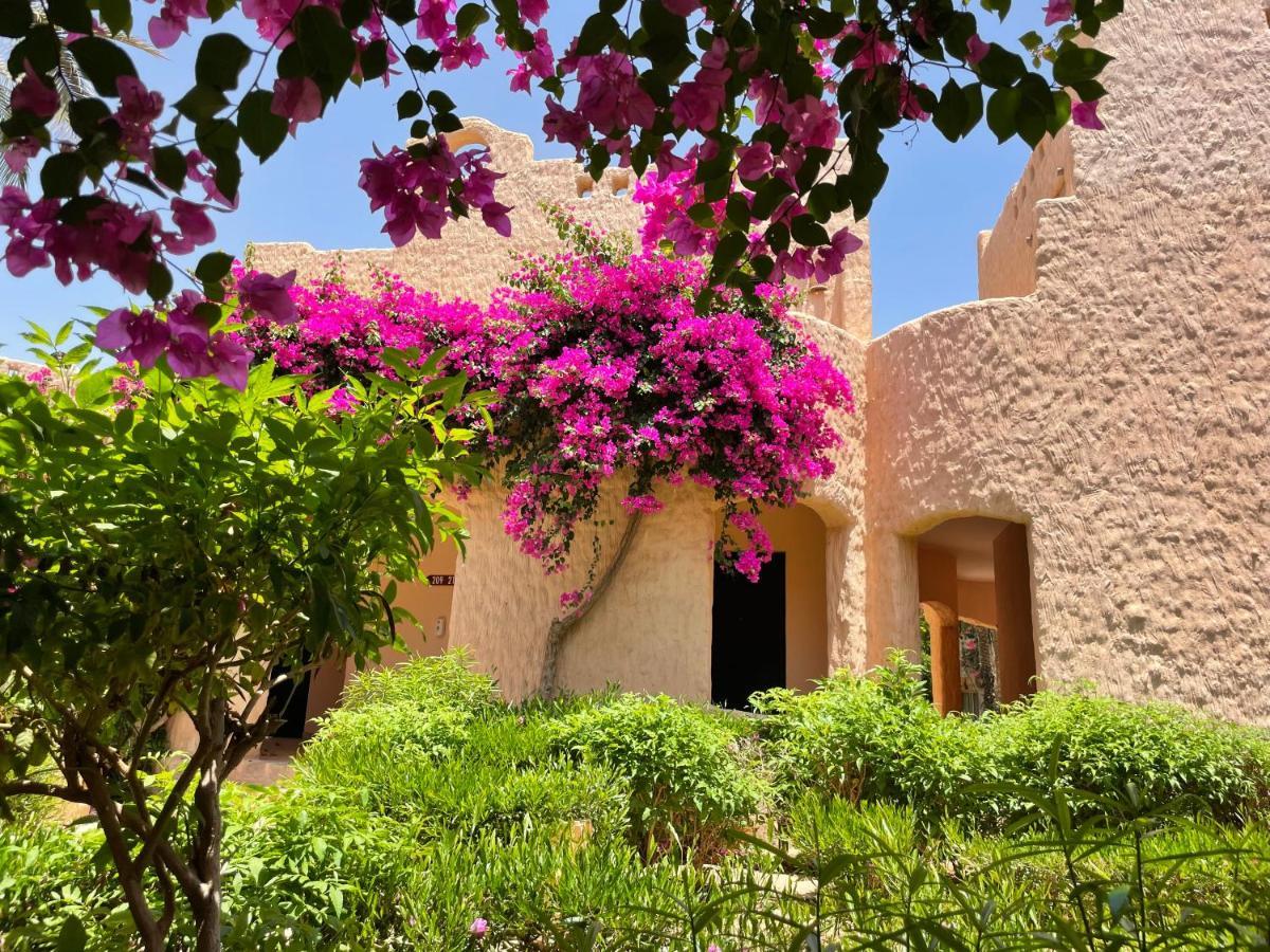 Blue Lagoon View Resort & Spa Marsa Alem Dış mekan fotoğraf