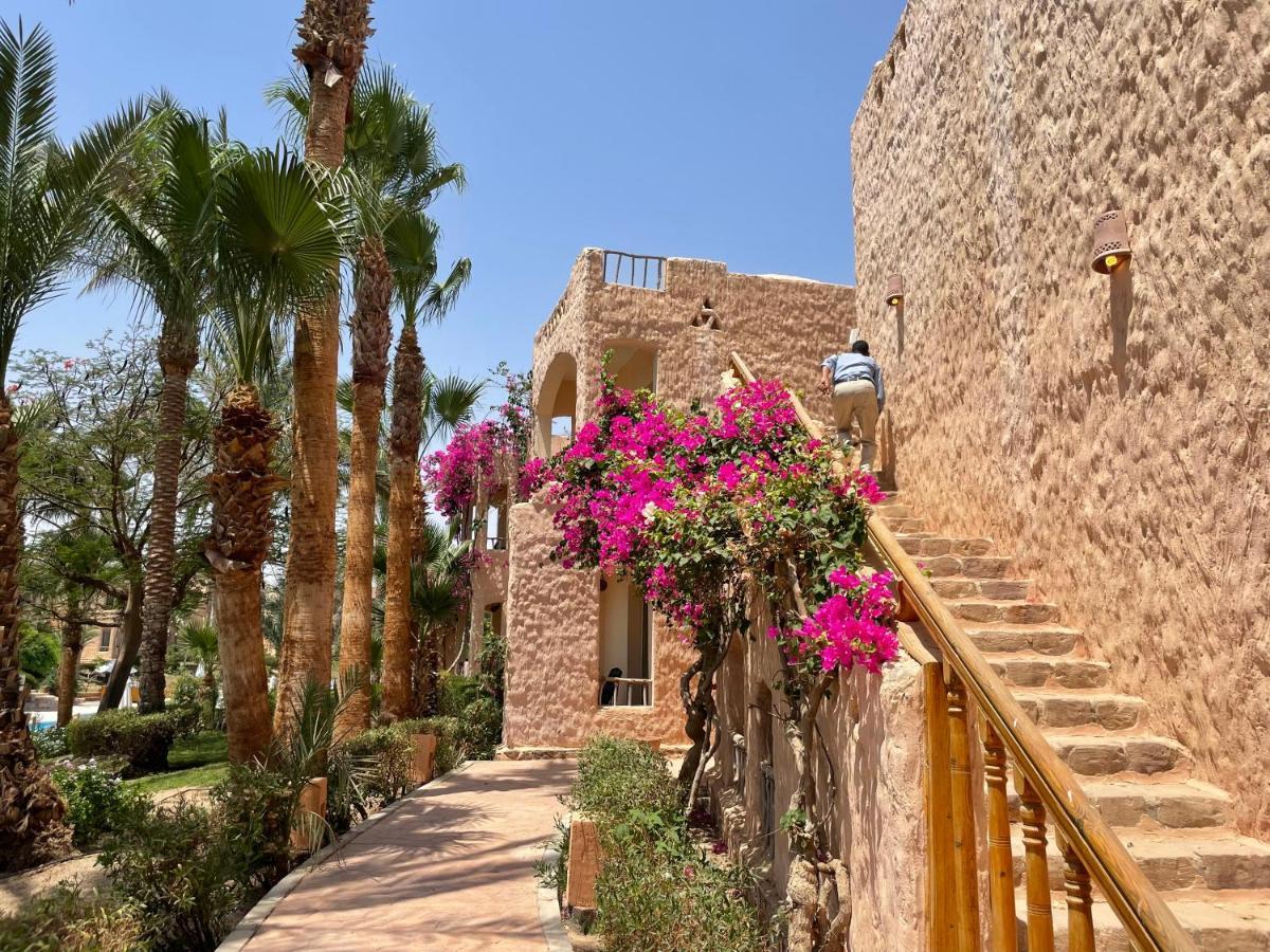 Blue Lagoon View Resort & Spa Marsa Alem Dış mekan fotoğraf