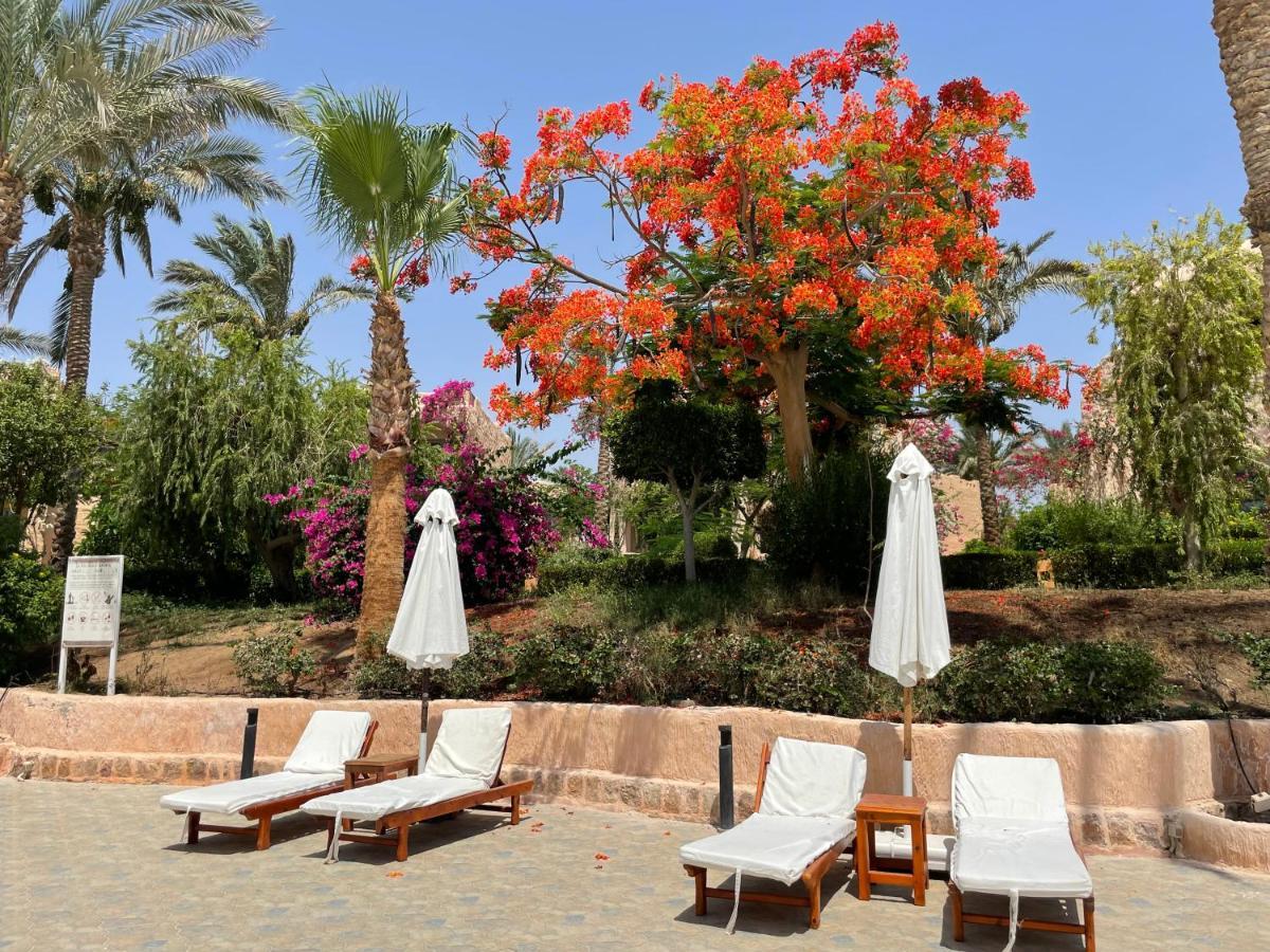Blue Lagoon View Resort & Spa Marsa Alem Dış mekan fotoğraf