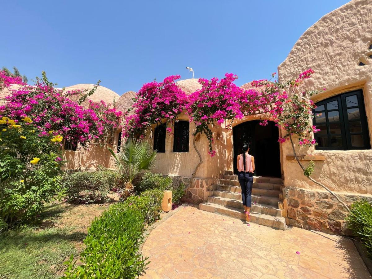 Blue Lagoon View Resort & Spa Marsa Alem Dış mekan fotoğraf